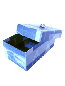 blue-present-suprise-47921-l
