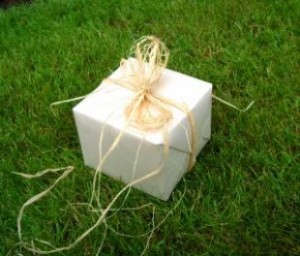 gift_love_grass_264796_l