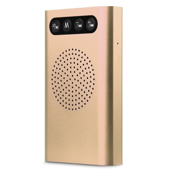Radar Porable Charger + promotional Bluetooth Speaker